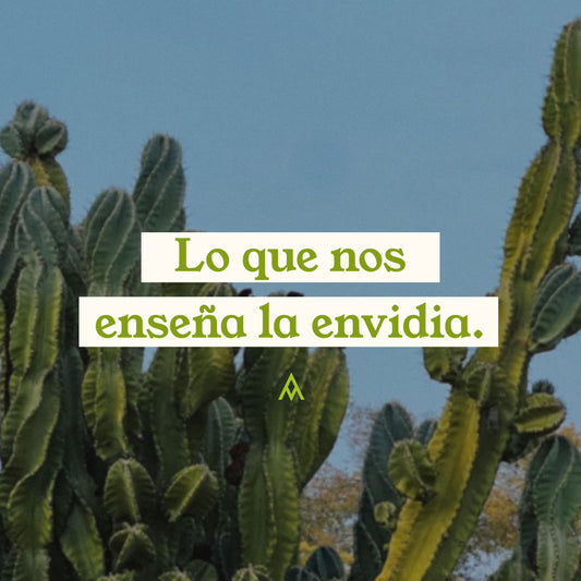 Lo que nos enseña la envidia.