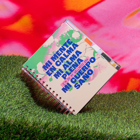 AGENDA IN MY NEW F*KING ERA 2025